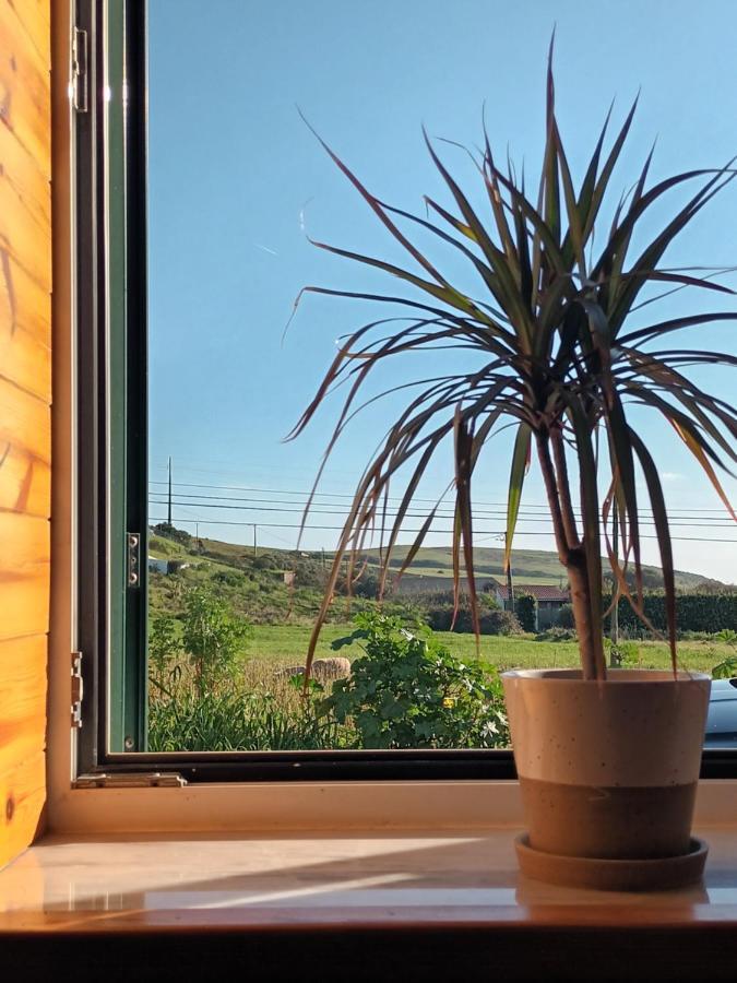 Roots Cozy House Raposeira Villa Raposeira  Exterior photo